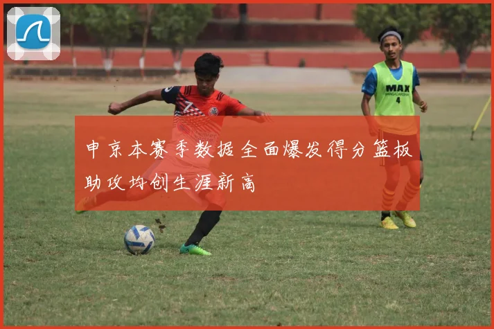 申京本赛季数据全面爆发得分篮板助攻均创生涯新高